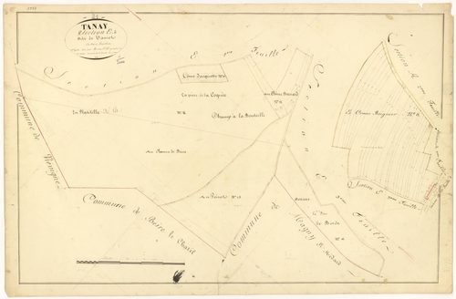 Tanay - Section E2 - 3 P PLAN 619/19