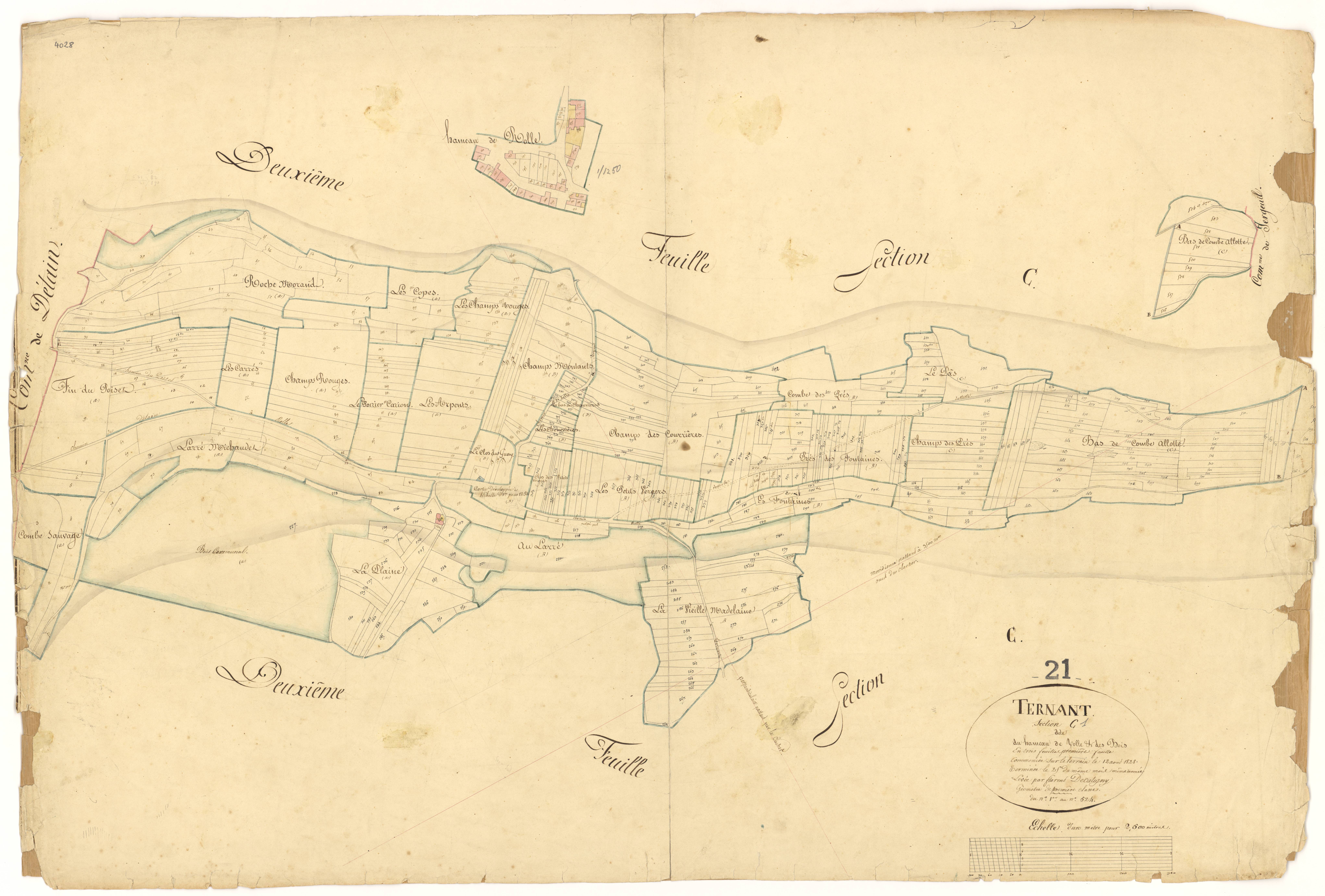 Ternant - Section C1 - 3 P PLAN 625/4