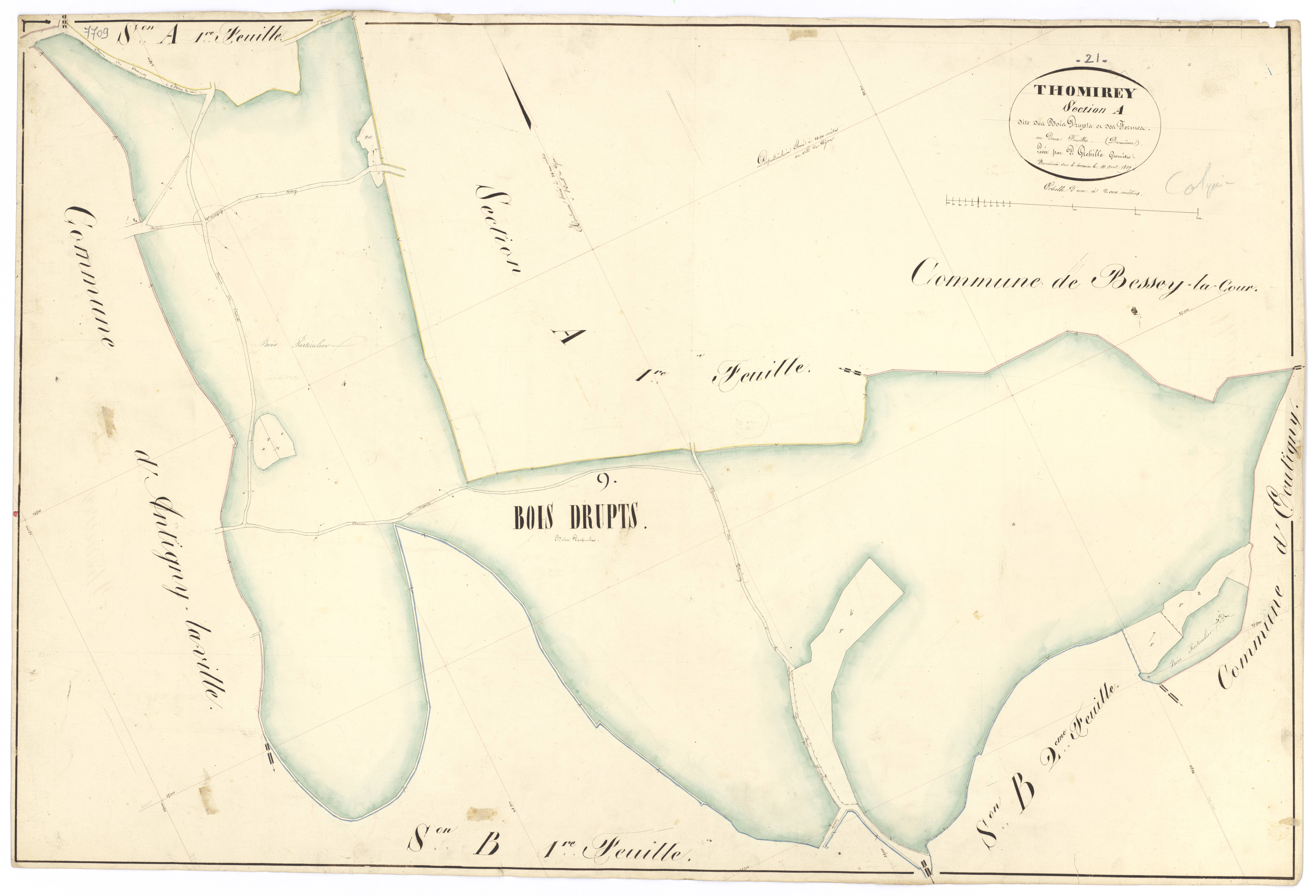 Thomirey - Section A2 - 3 P PLAN 631/4