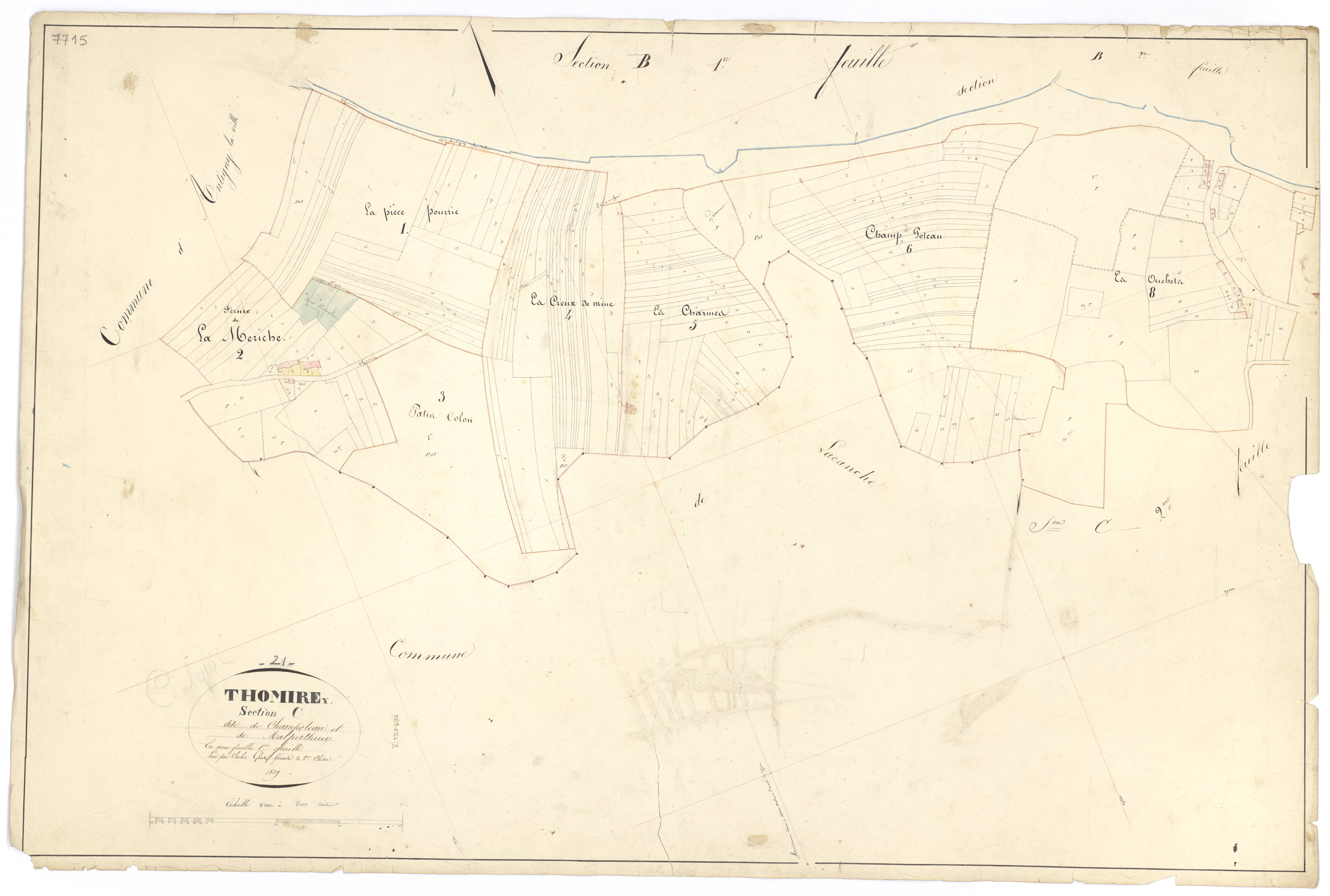 Thomirey - Section C1 - 3 P PLAN 631/10