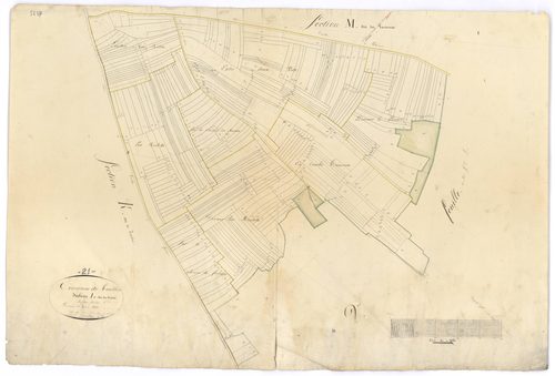 Touillon - Section L1 - 3 P PLAN 641/16