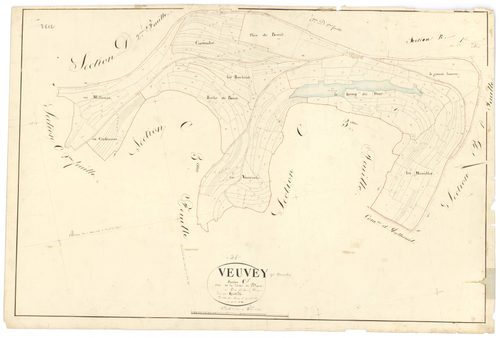Veuvey-sur-Ouche - Section C1 - 3 P PLAN 674/6