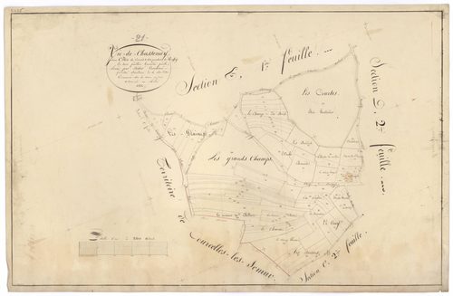 Vic-de-Chassenay - Section C3 - 3 P PLAN 677/9