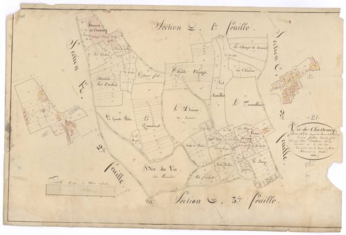 Vic-de-Chassenay - Section D2 - 3 P PLAN 677/11