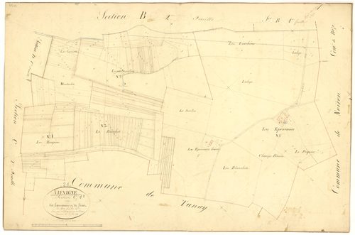 Viévigne - Section C1 - 3 P PLAN 682/9