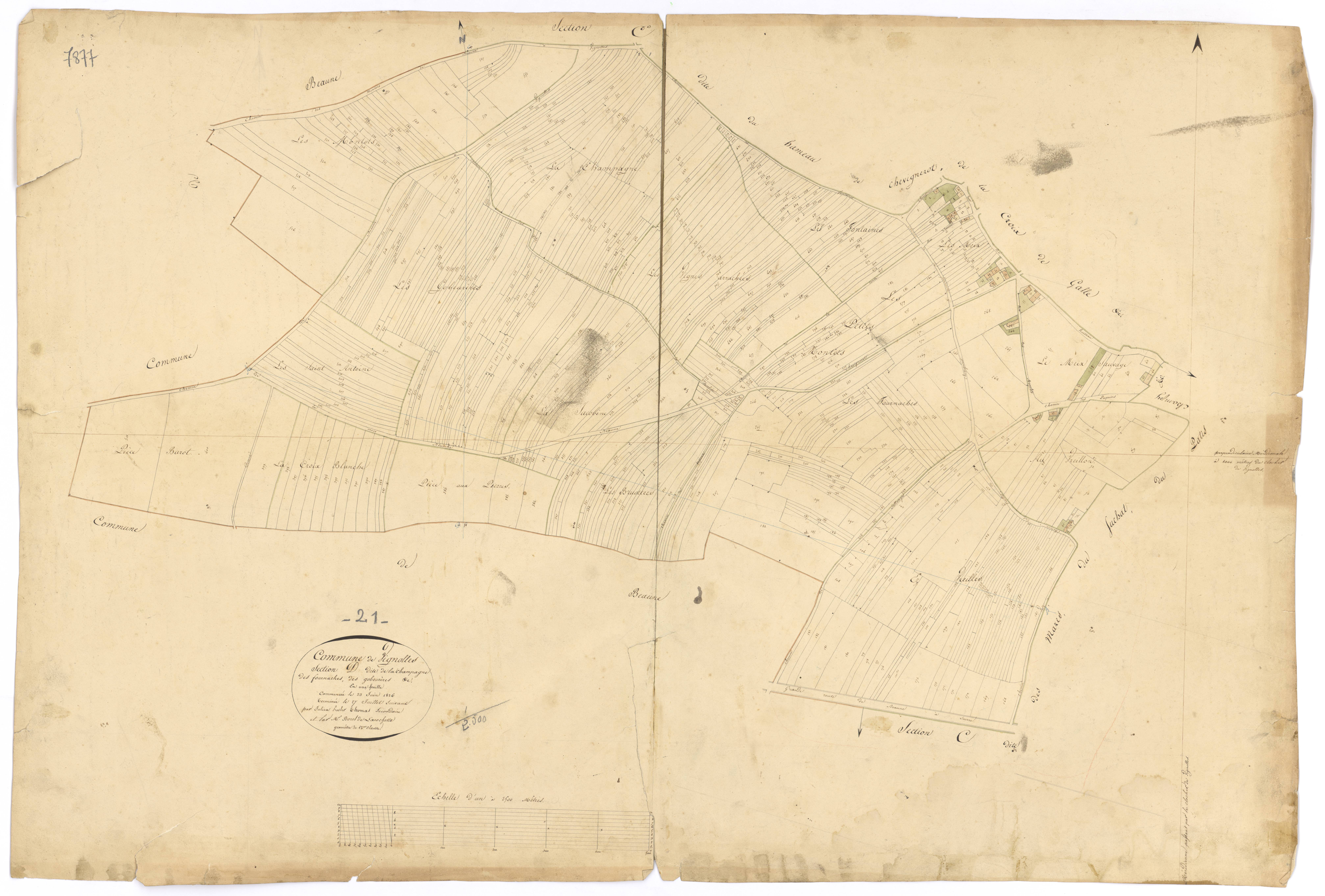 Vignoles - Section D - 3 P PLAN 684/5