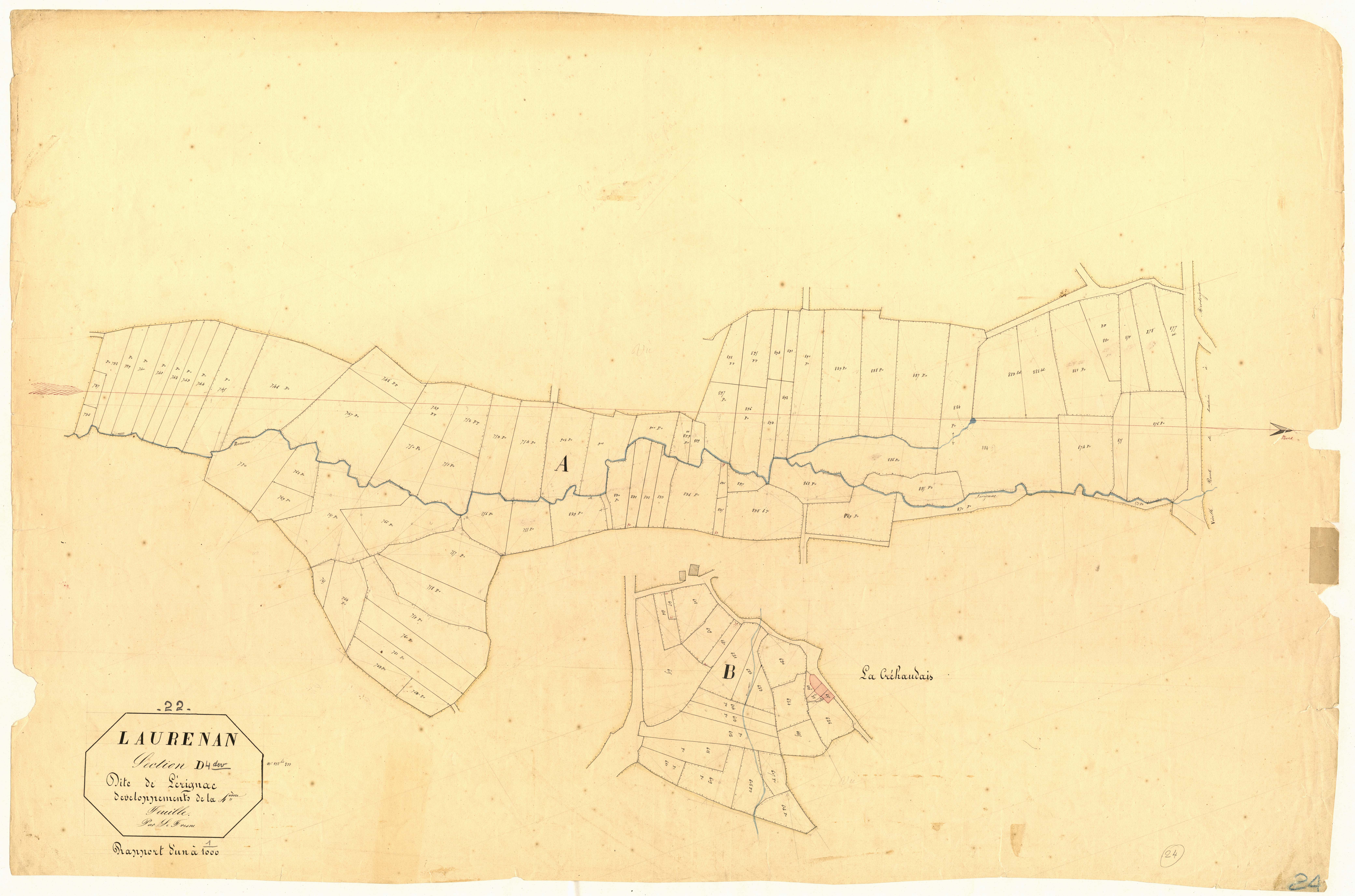 Laurenan - Section D, 4e feuille : développement