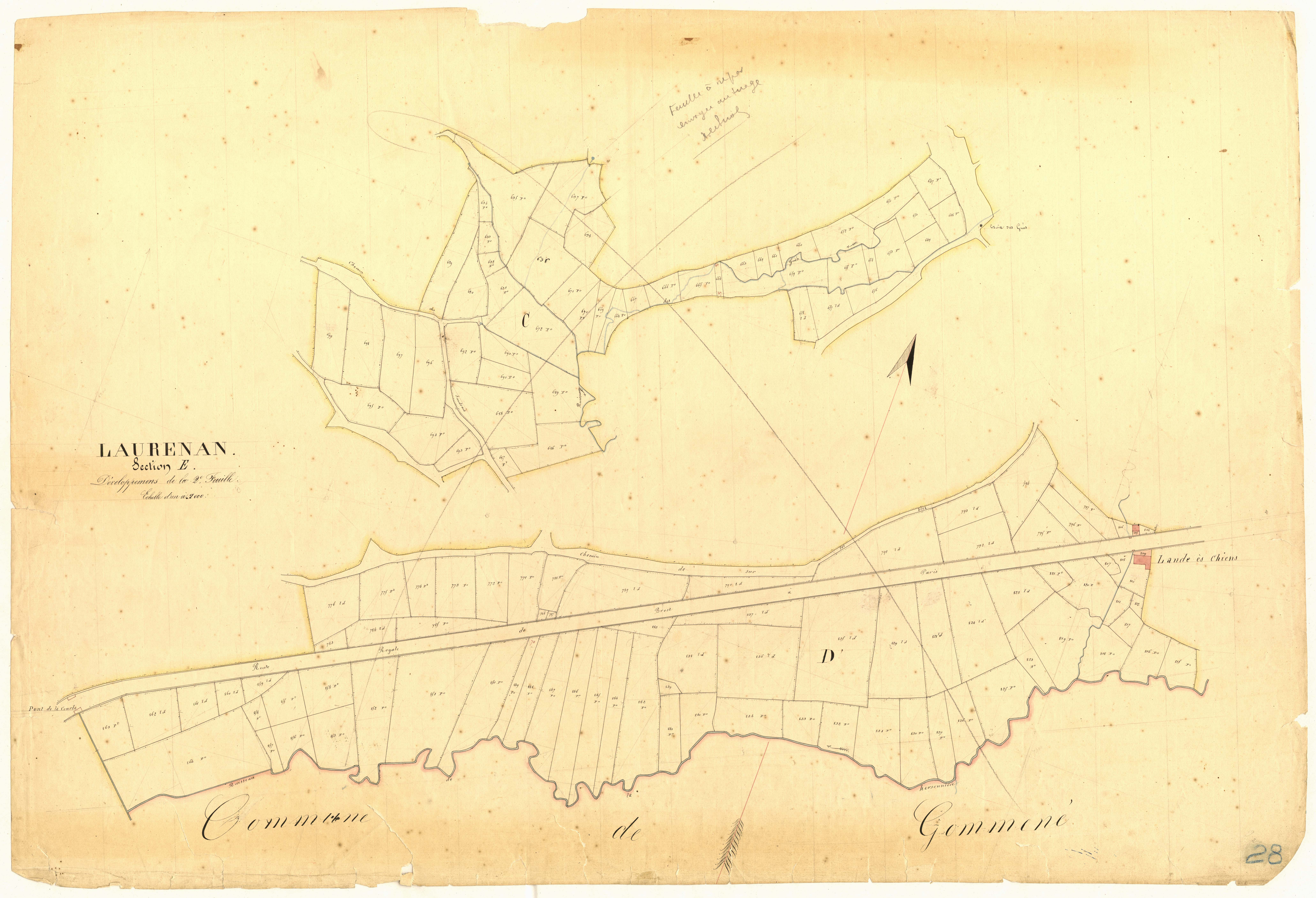 Laurenan - Section E, 1re et 3e feuilles : développement
