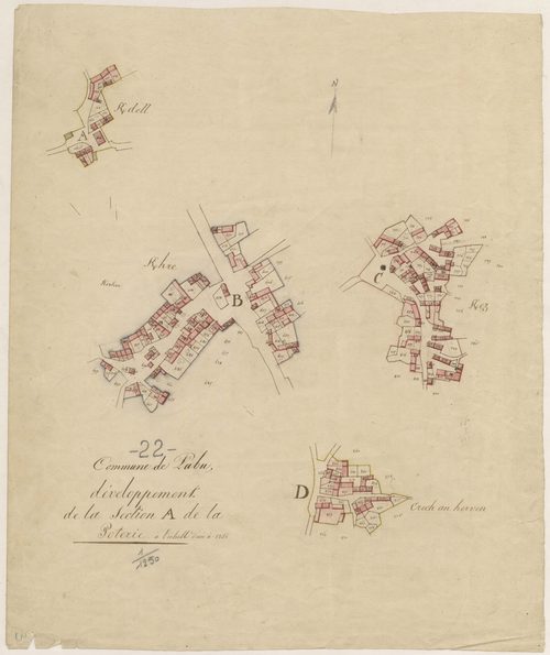 Pabu - Section A : développement