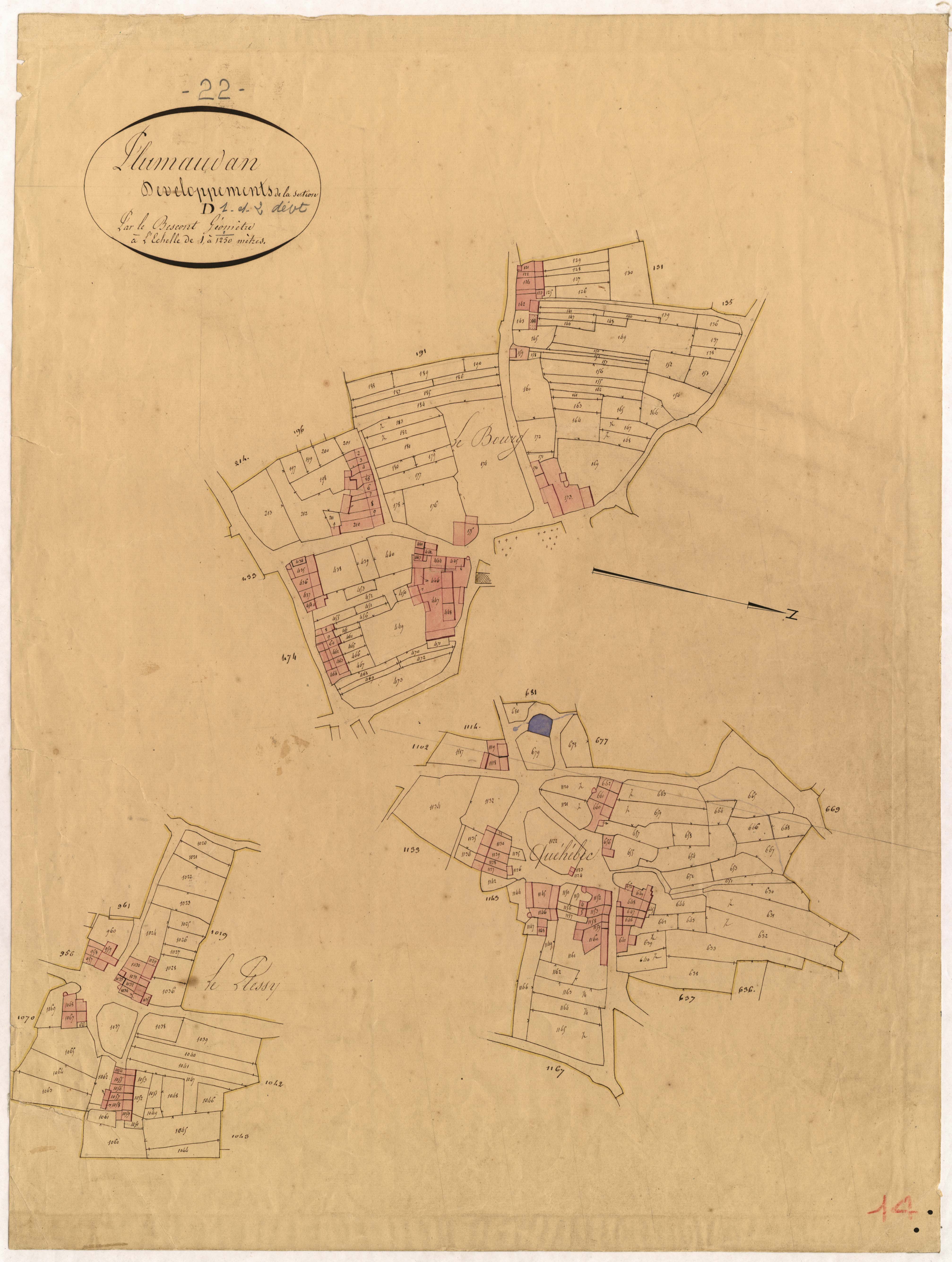 Plumaudan - Section D : développement