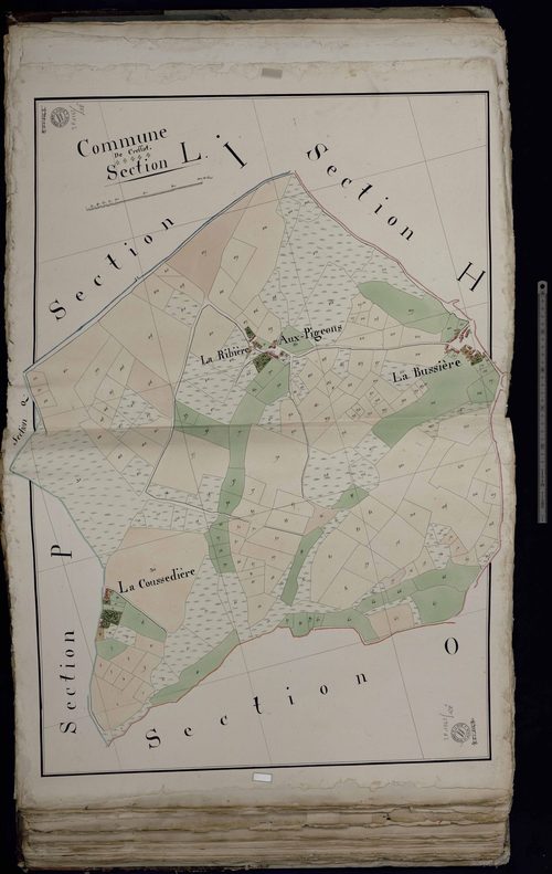Cressat - Section L : La Coussedière, La Bussière, La Ribière aux Pigeons