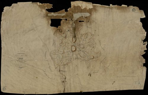 Saint-Moreil - Plan parcellaire communal