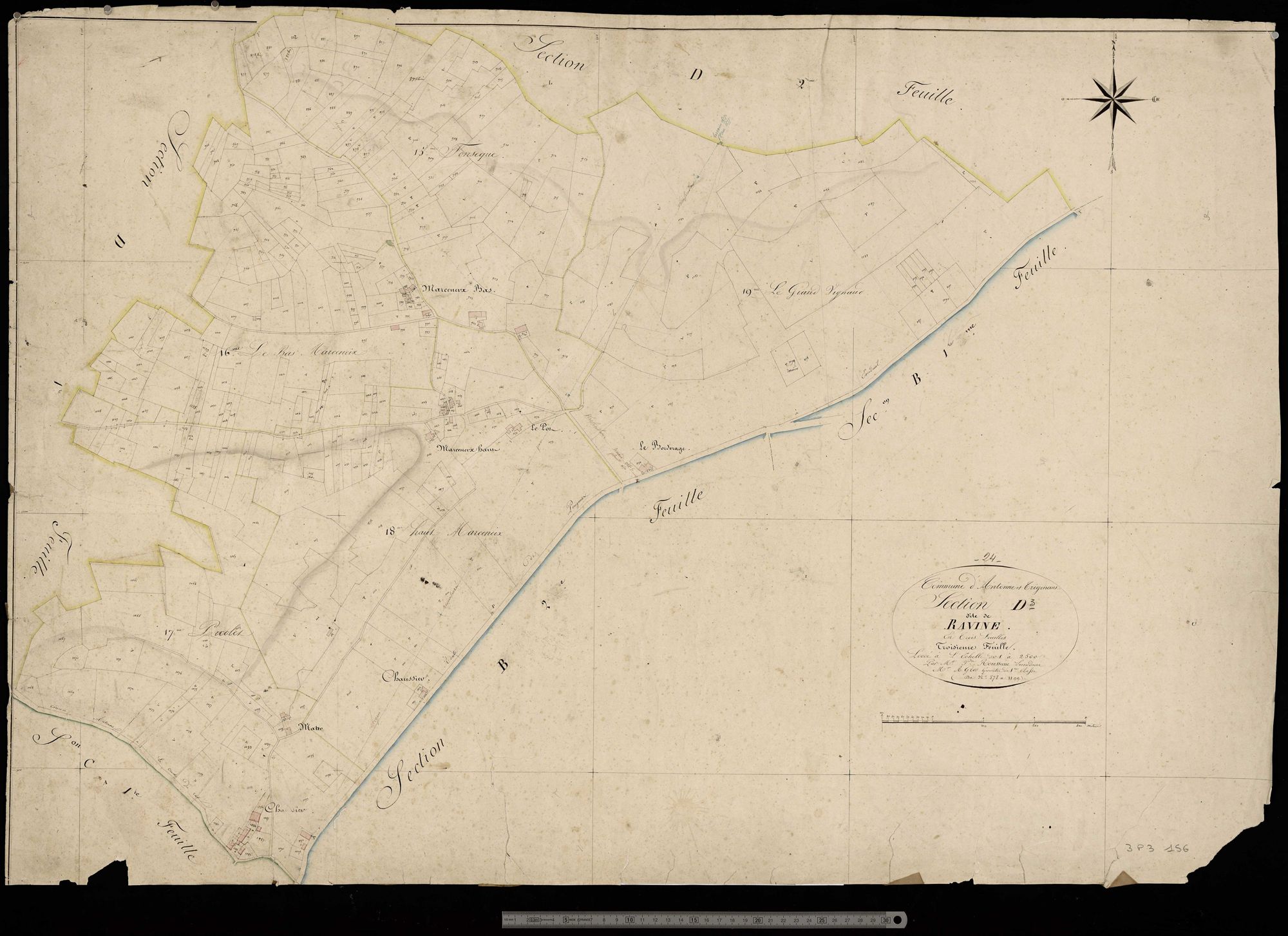 Antonne-et-Trigonant - Ravine