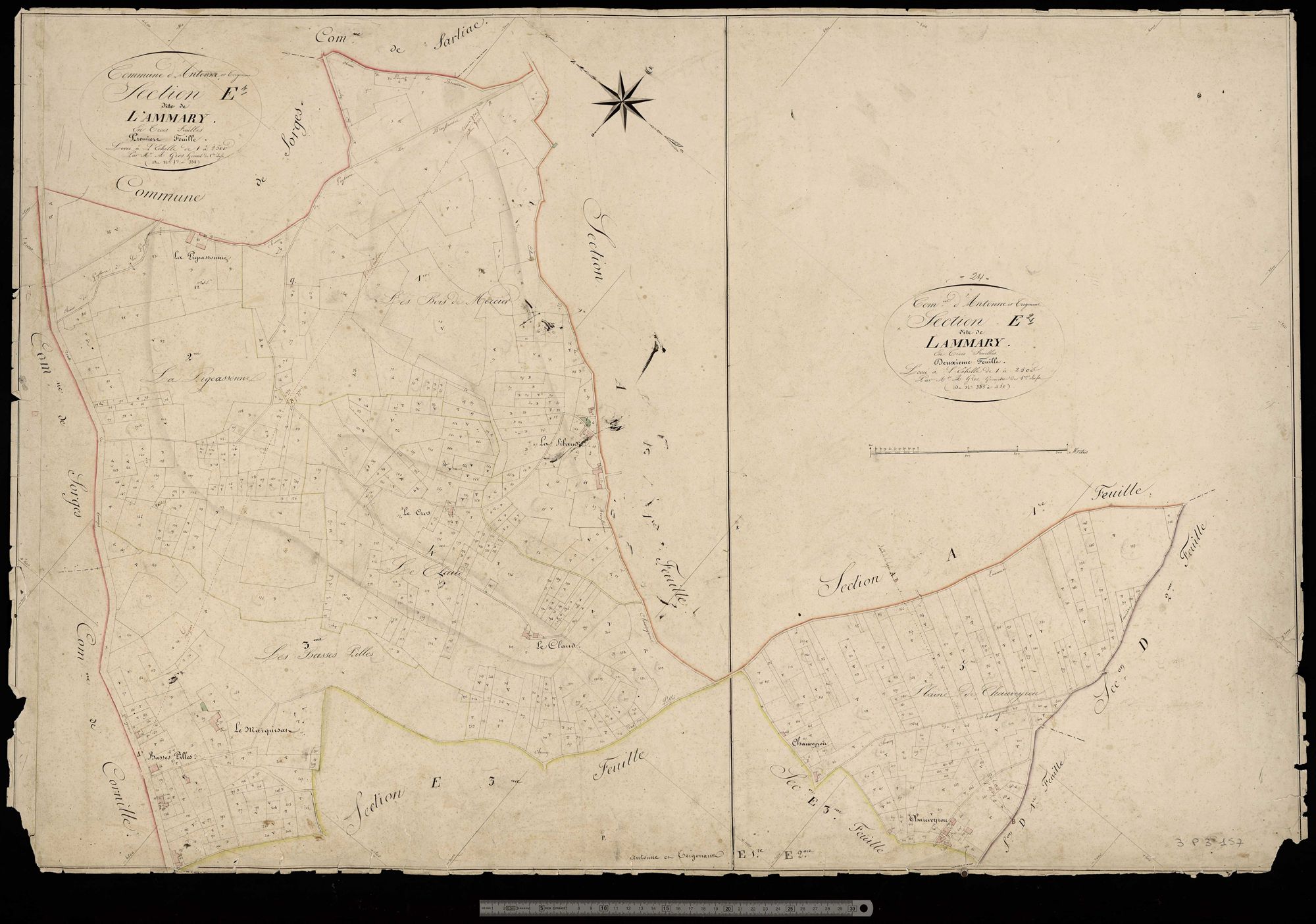 Antonne-et-Trigonant - Lammary