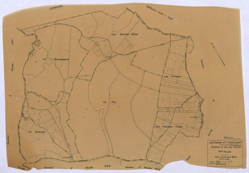 Antonne-et-Trigonant - 