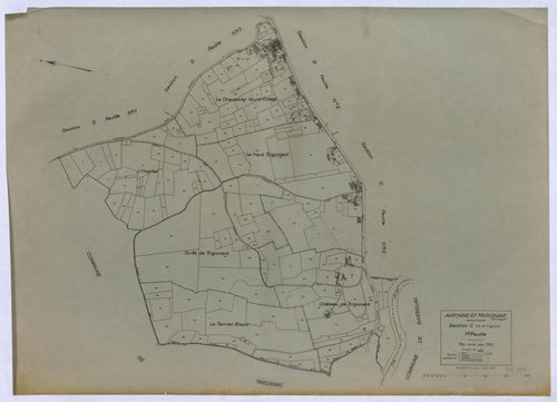 Antonne-et-Trigonant - 