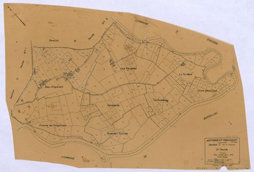 Antonne-et-Trigonant - 
