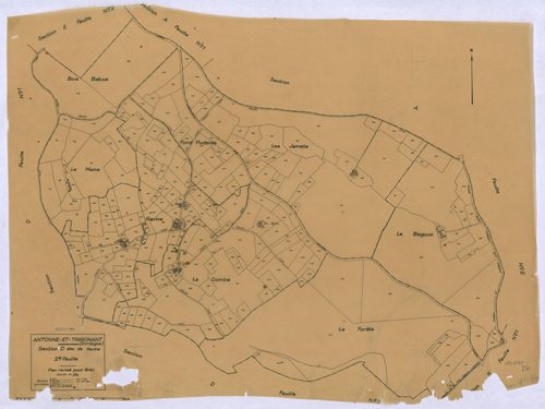 Antonne-et-Trigonant - 