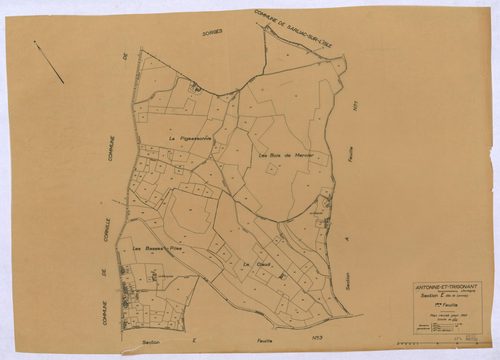 Antonne-et-Trigonant - 