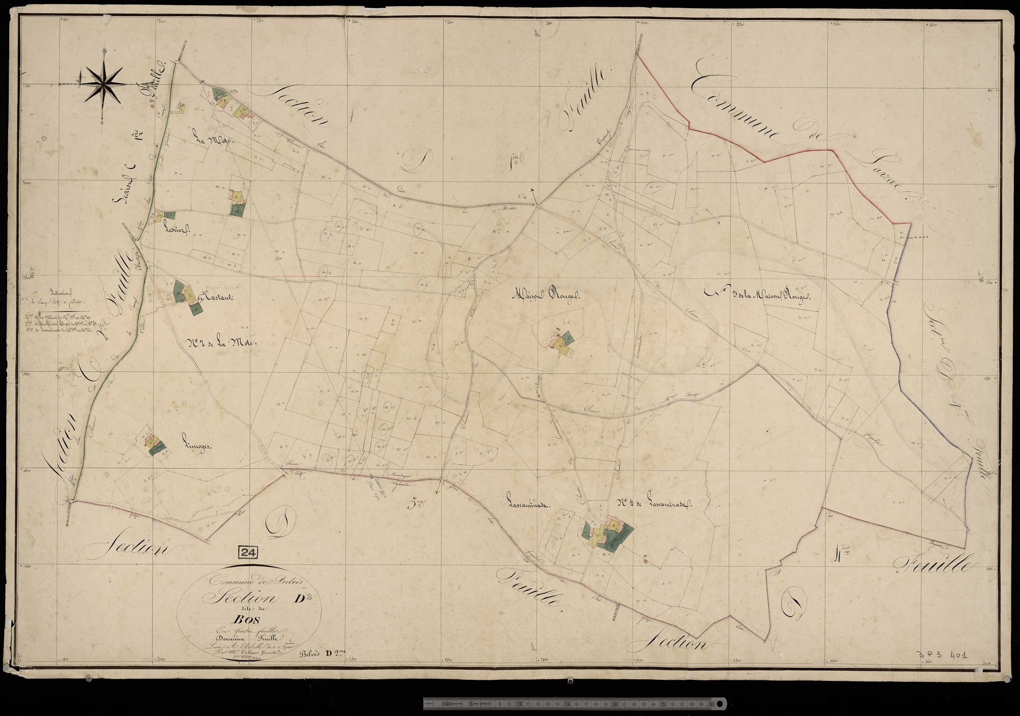 Belvès - Bos