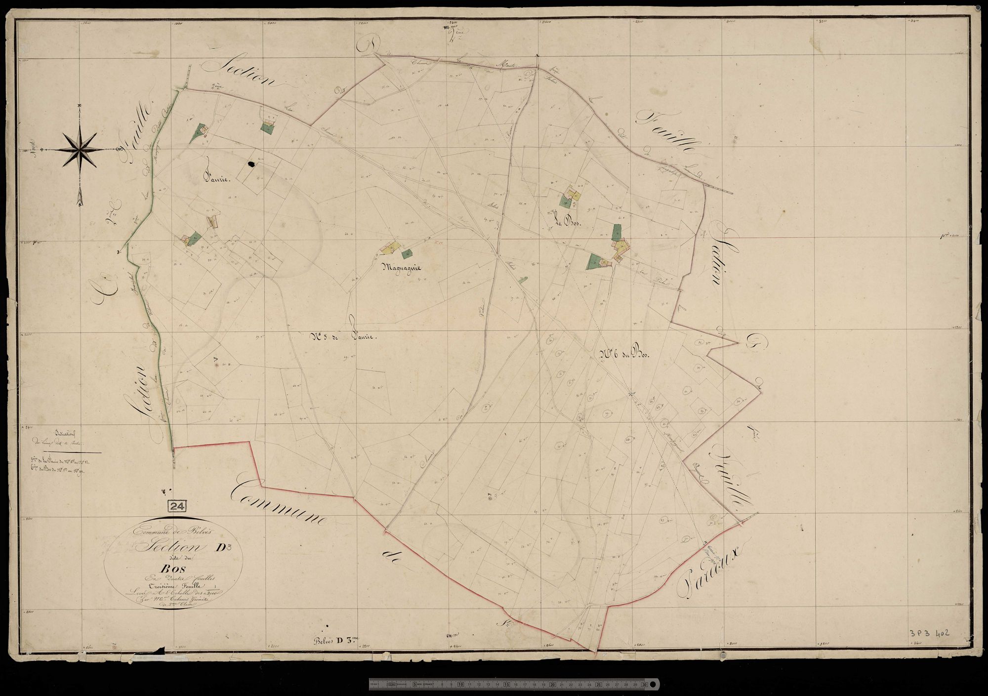 Belvès - Bos