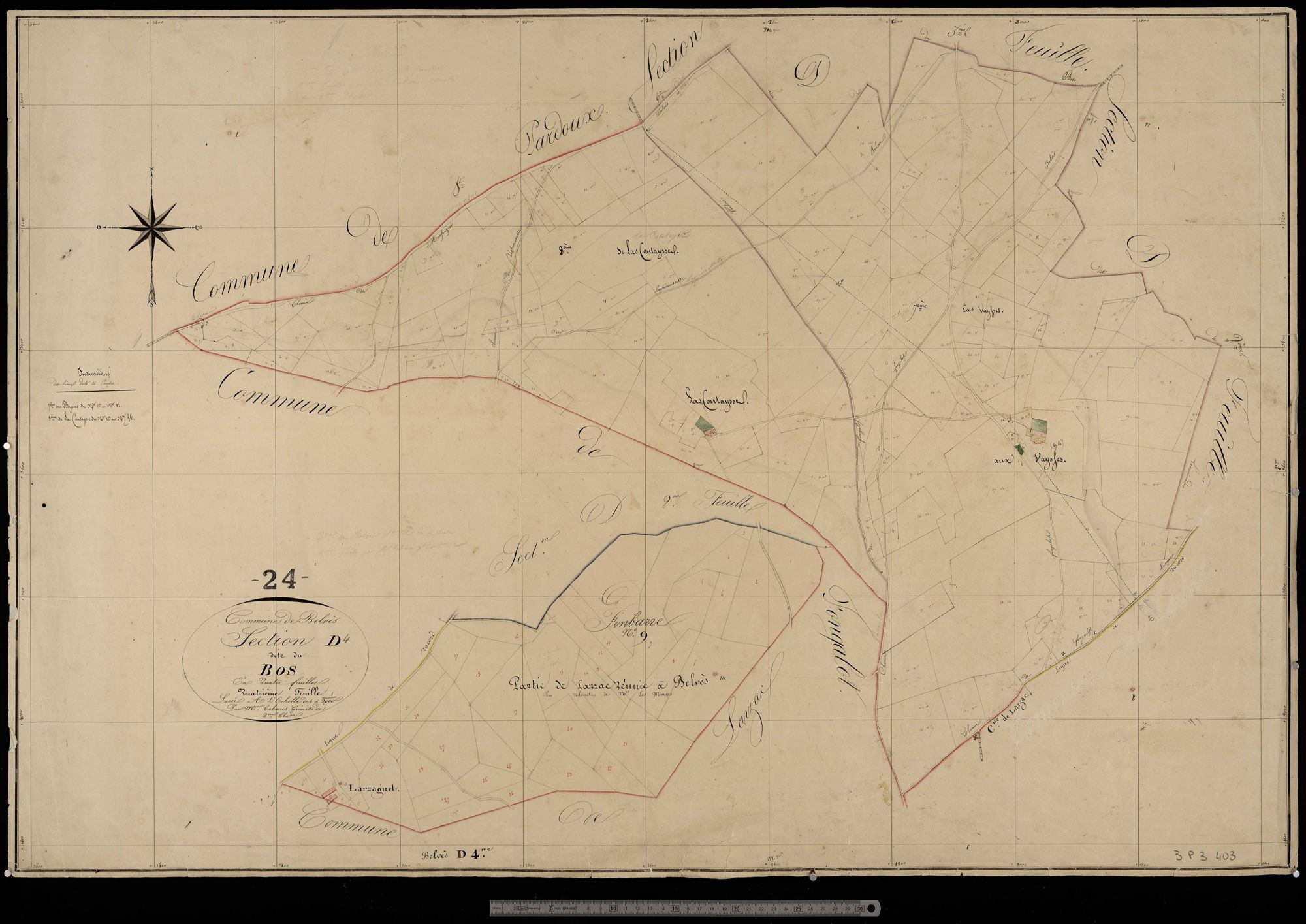Belvès - Bos