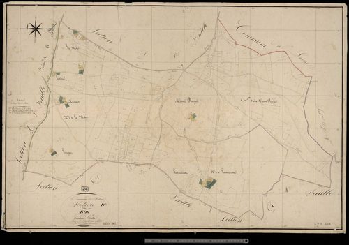 Belvès - Bos