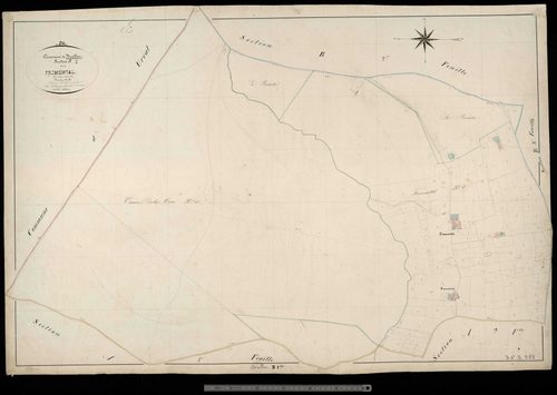 Bouillac - Fromental