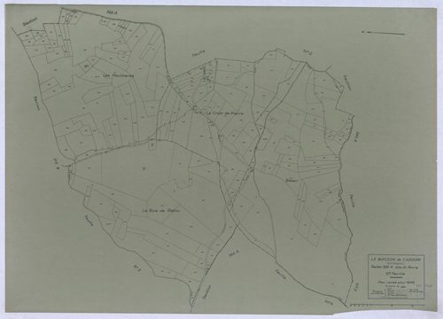 Le Buisson-de-Cadouin - 