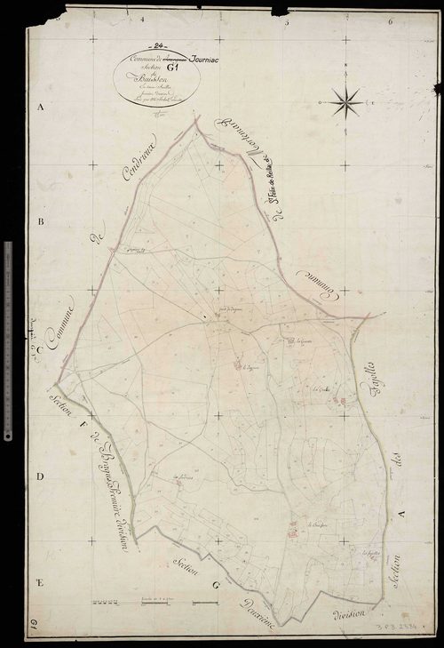 Journiac - Buisson