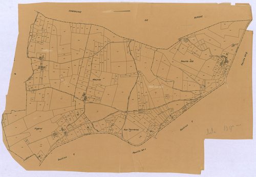 Lisle - 