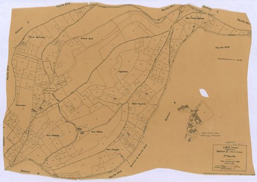 Lisle - 