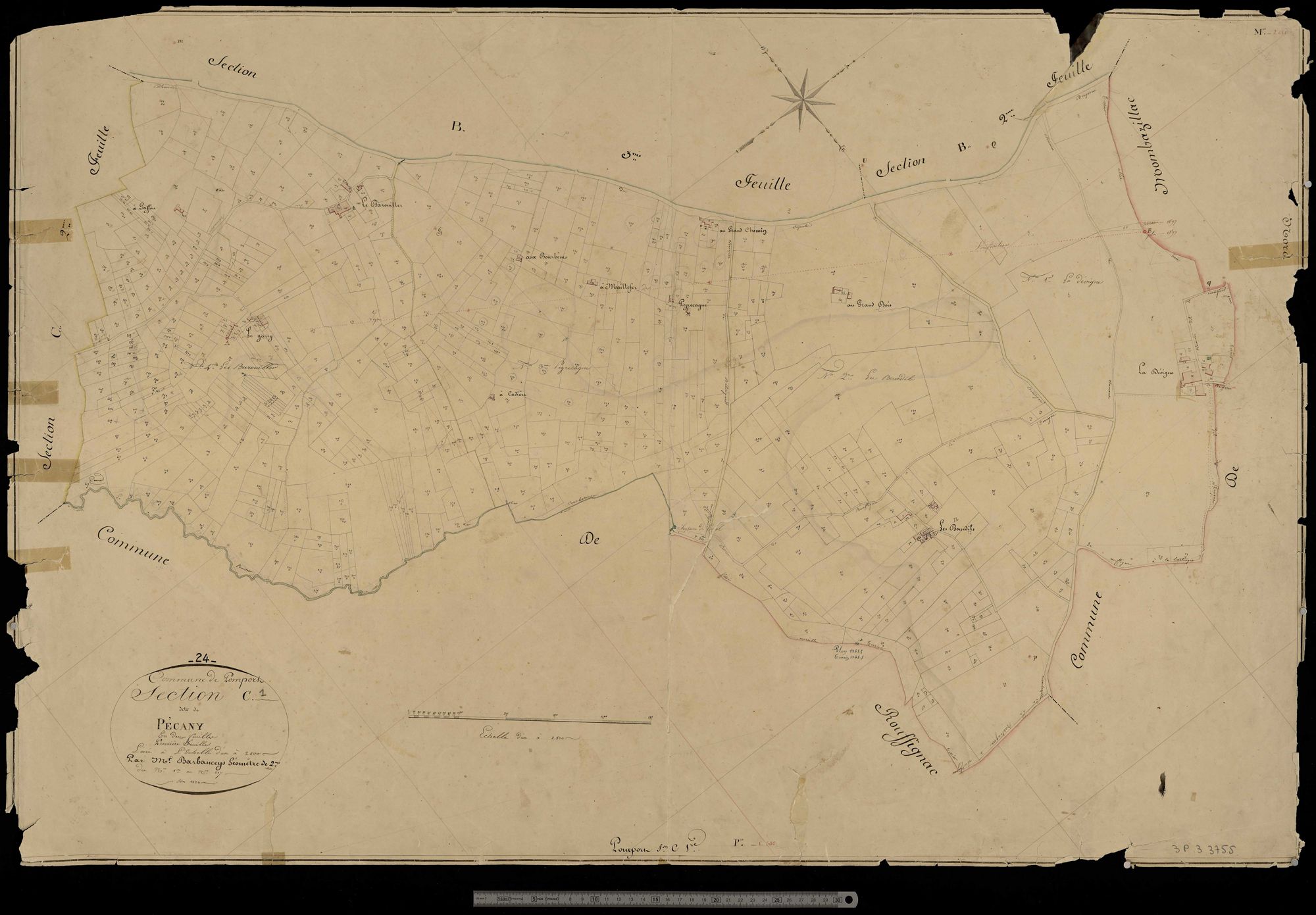 Pomport - Pecany