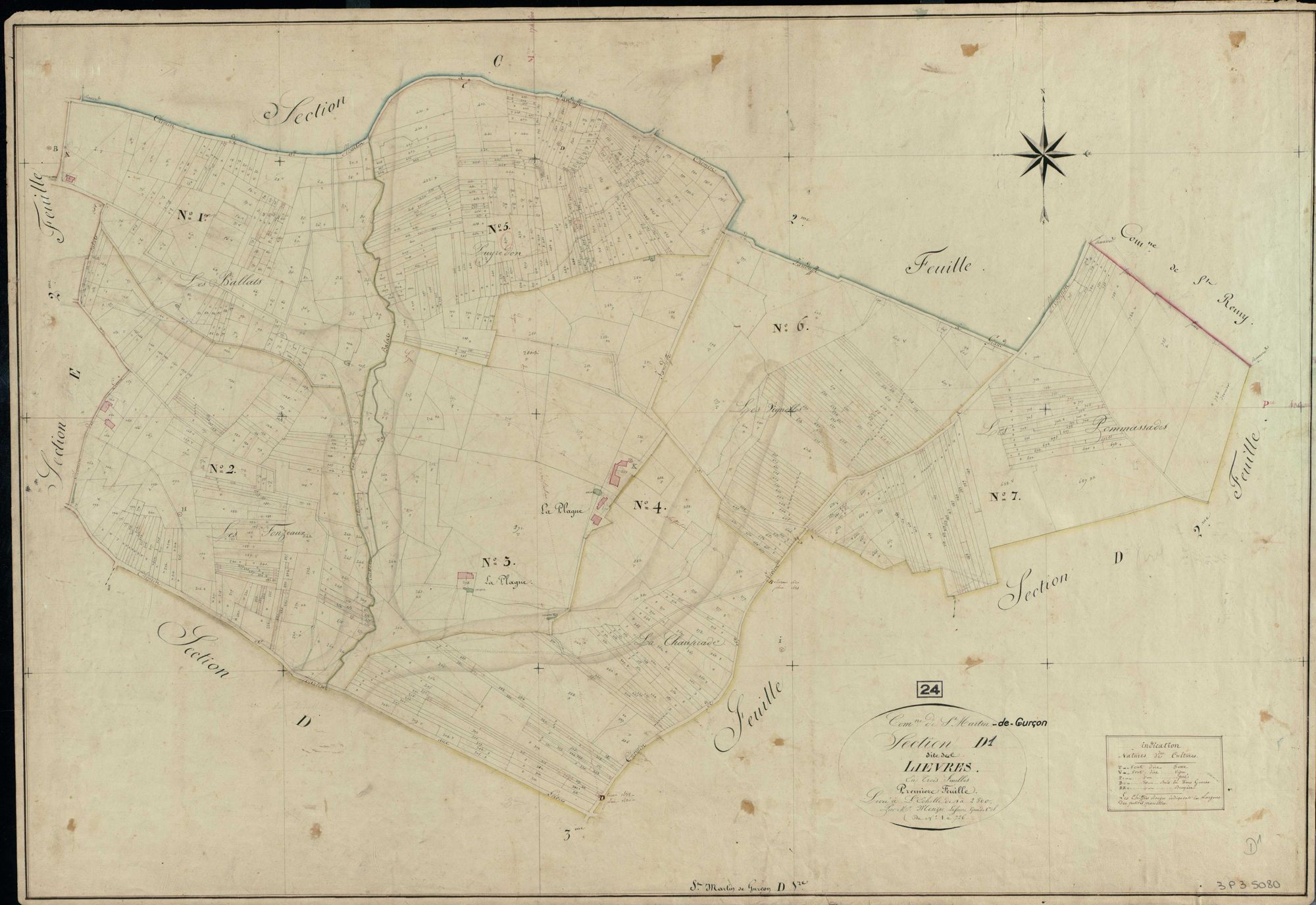 Saint-Martin-de-Gurson - Les Lièvres