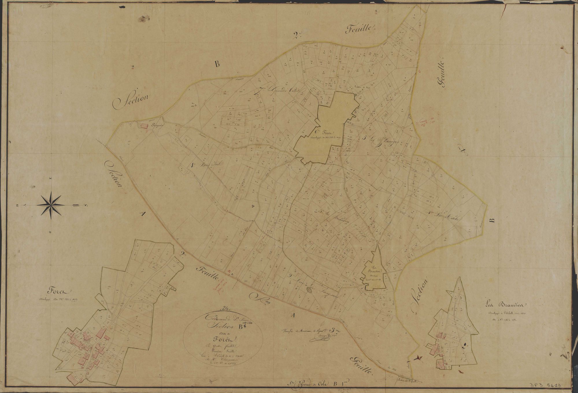 Saint-Pierre-de-Côle - La Forêt