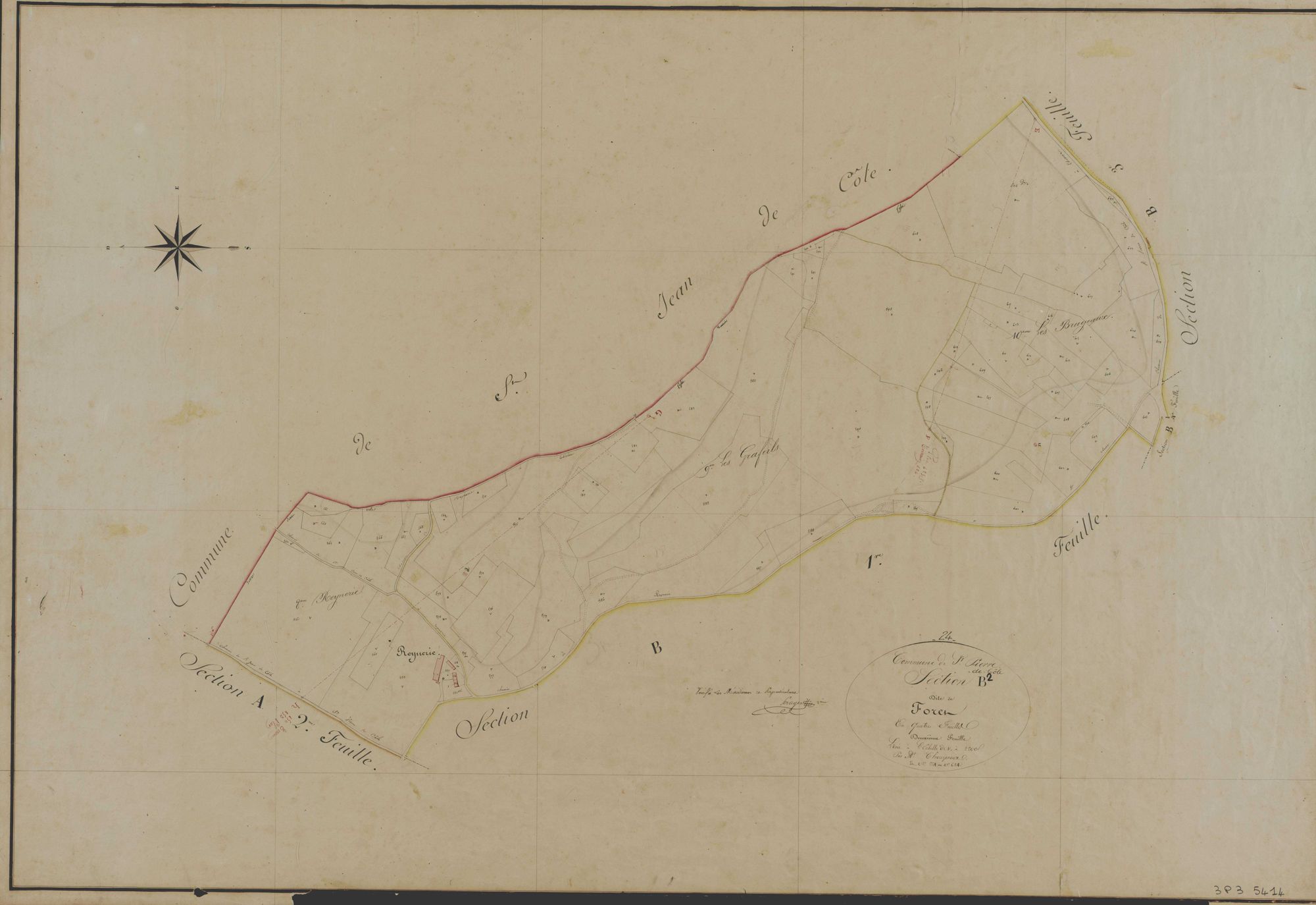 Saint-Pierre-de-Côle - La Forêt