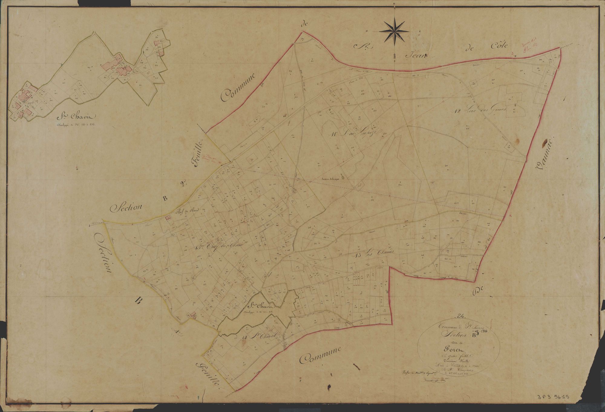 Saint-Pierre-de-Côle - La Forêt
