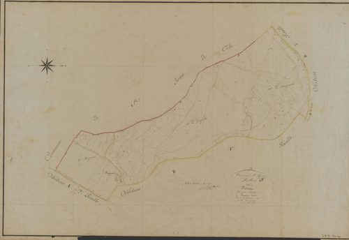 Saint-Pierre-de-Côle - La Forêt