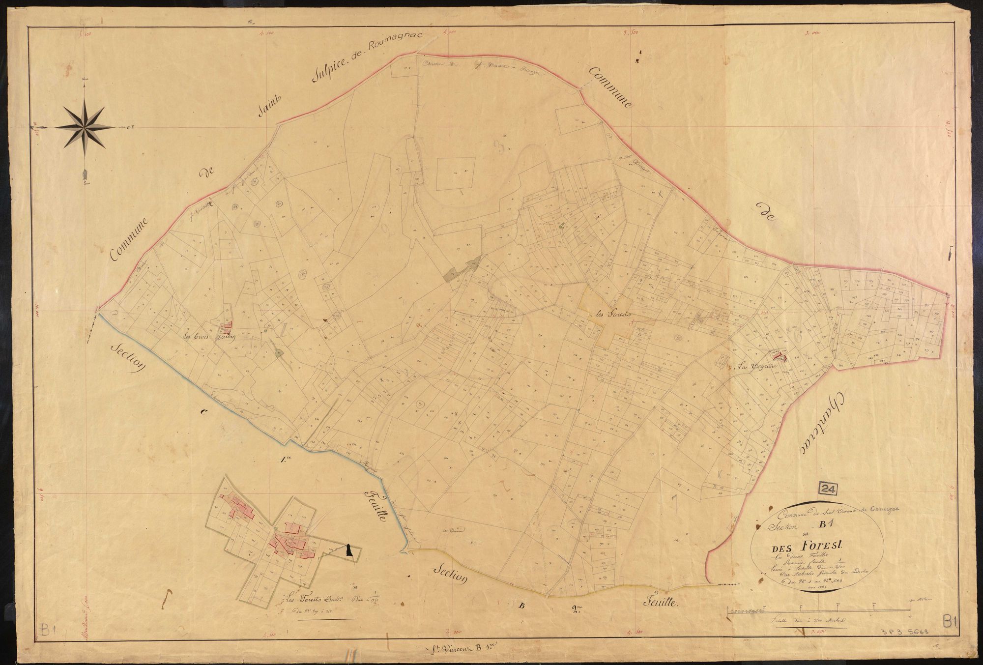 Saint-Vincent-de-Connezac - Forest