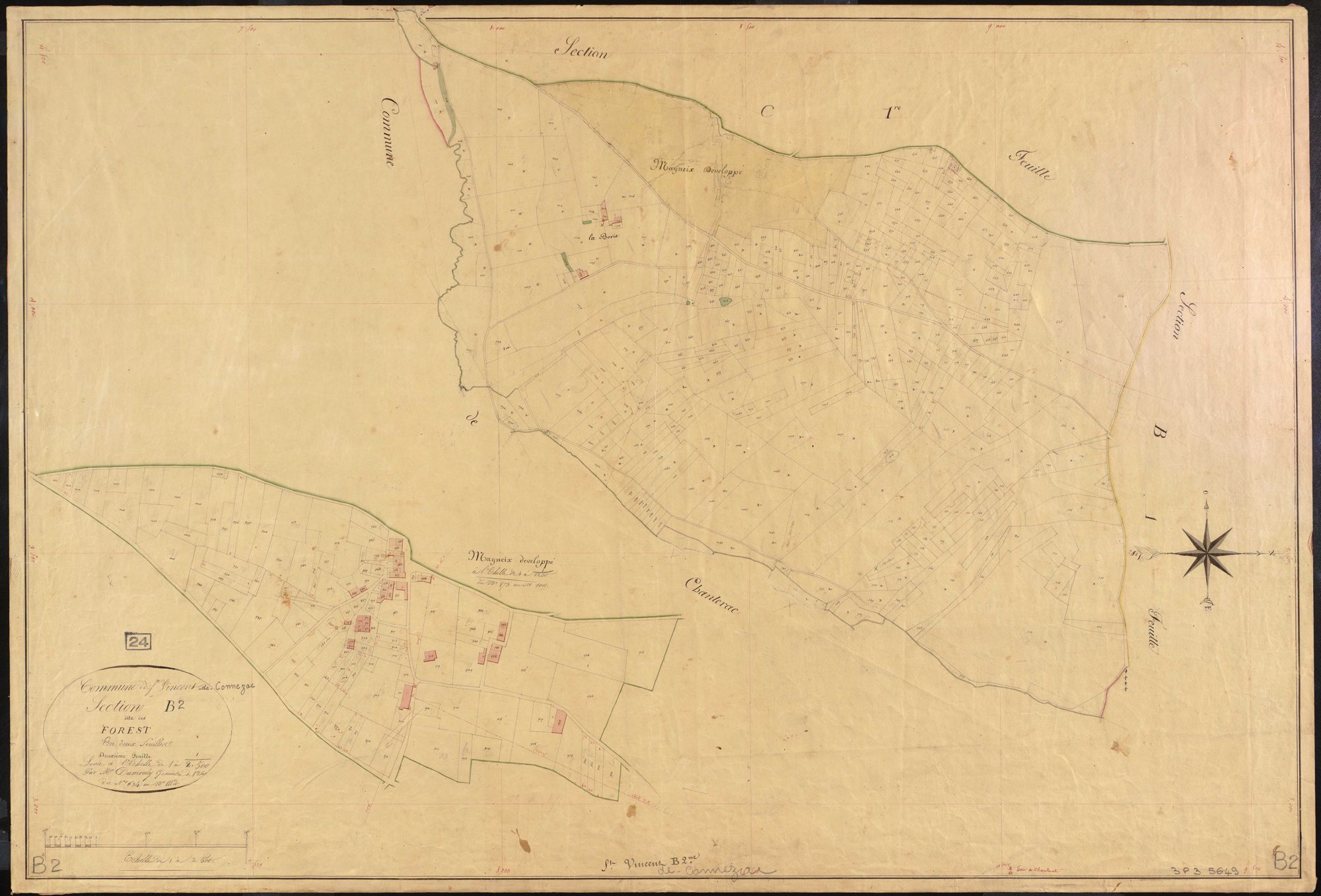 Saint-Vincent-de-Connezac - Forest