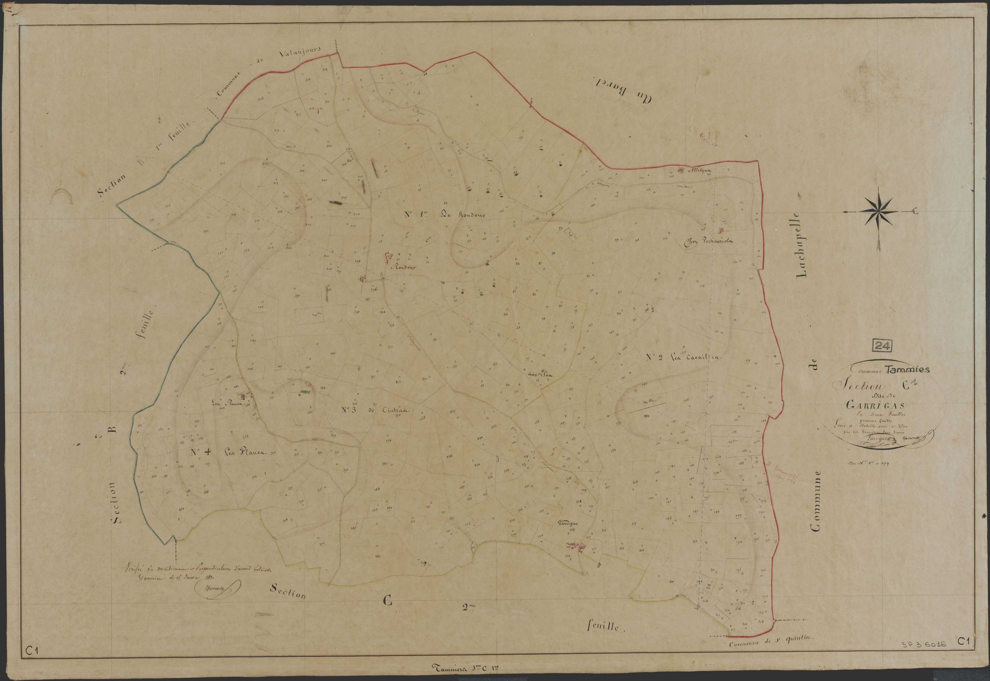 Tamniès - Garrigas