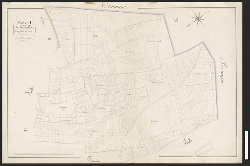 Avanne
