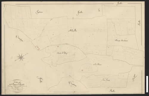 Section F
