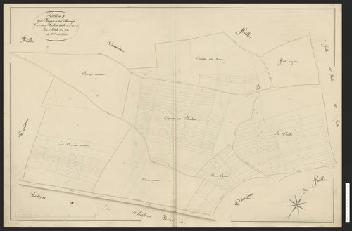Section F