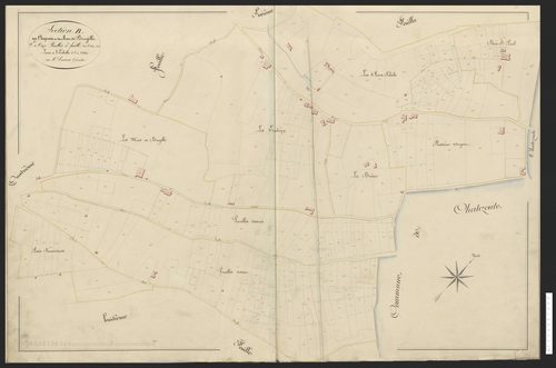 Section B