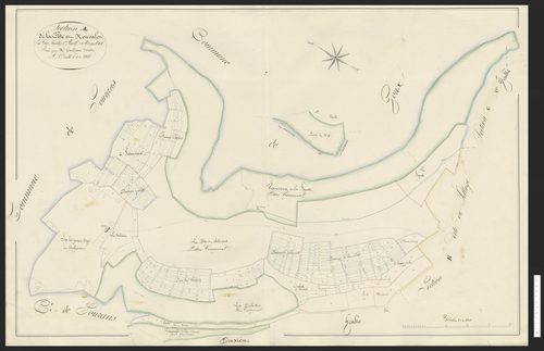 Hyémondans