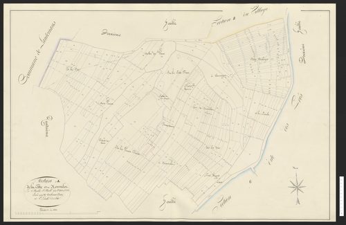 Hyémondans
