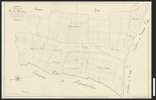 Hyémondans