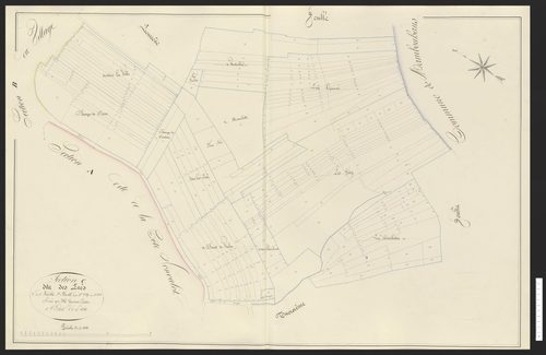 Hyémondans
