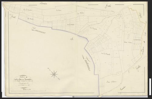Hyémondans